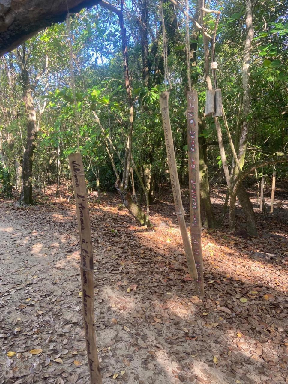Eden Paradise Ecolodge & Spa 圣吕斯 外观 照片