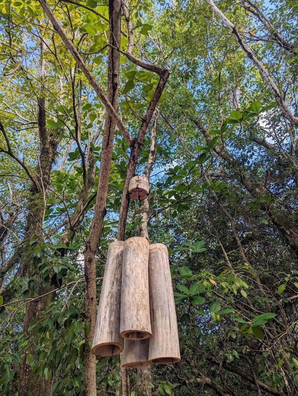 Eden Paradise Ecolodge & Spa 圣吕斯 外观 照片