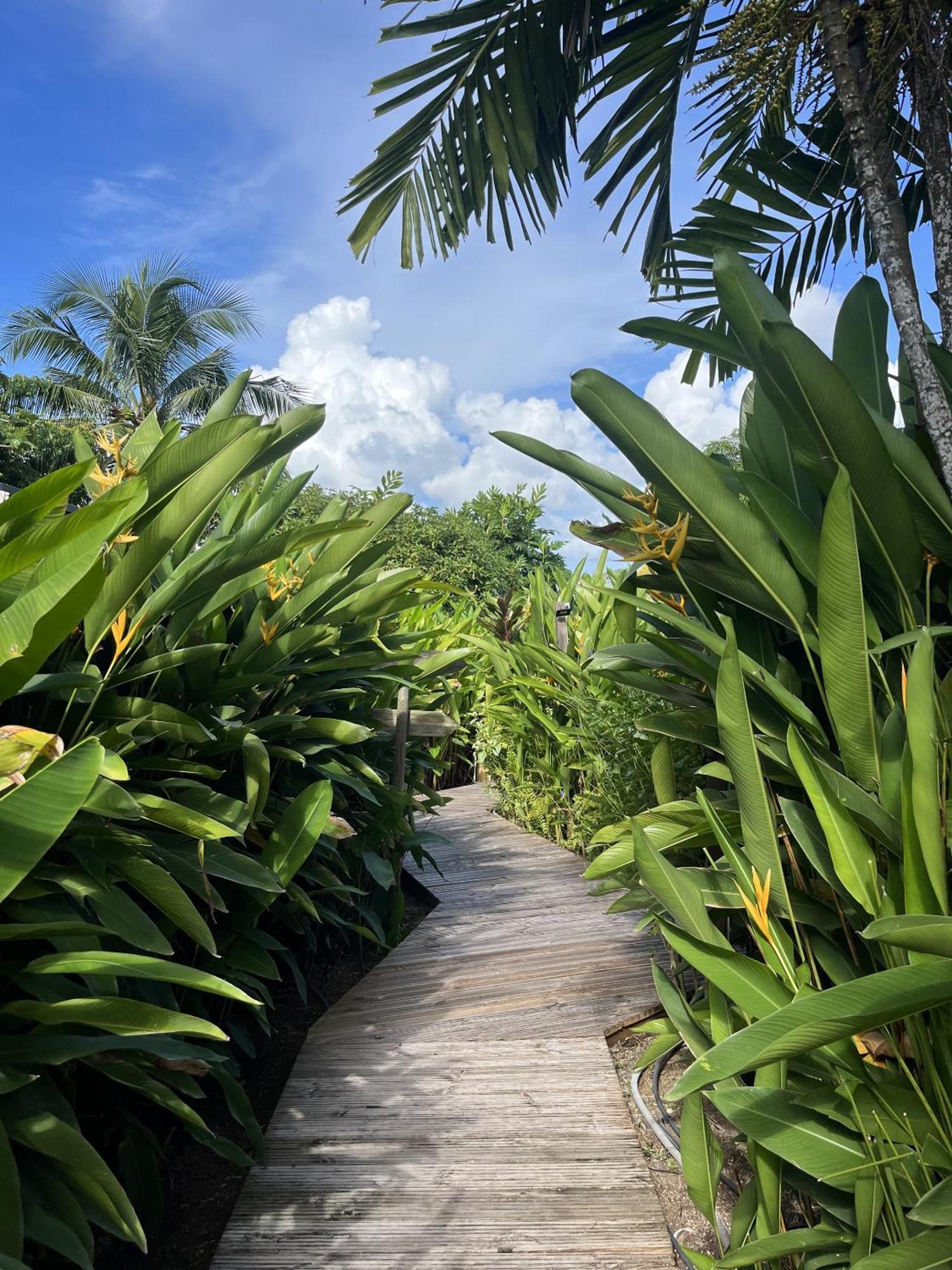 Eden Paradise Ecolodge & Spa 圣吕斯 外观 照片