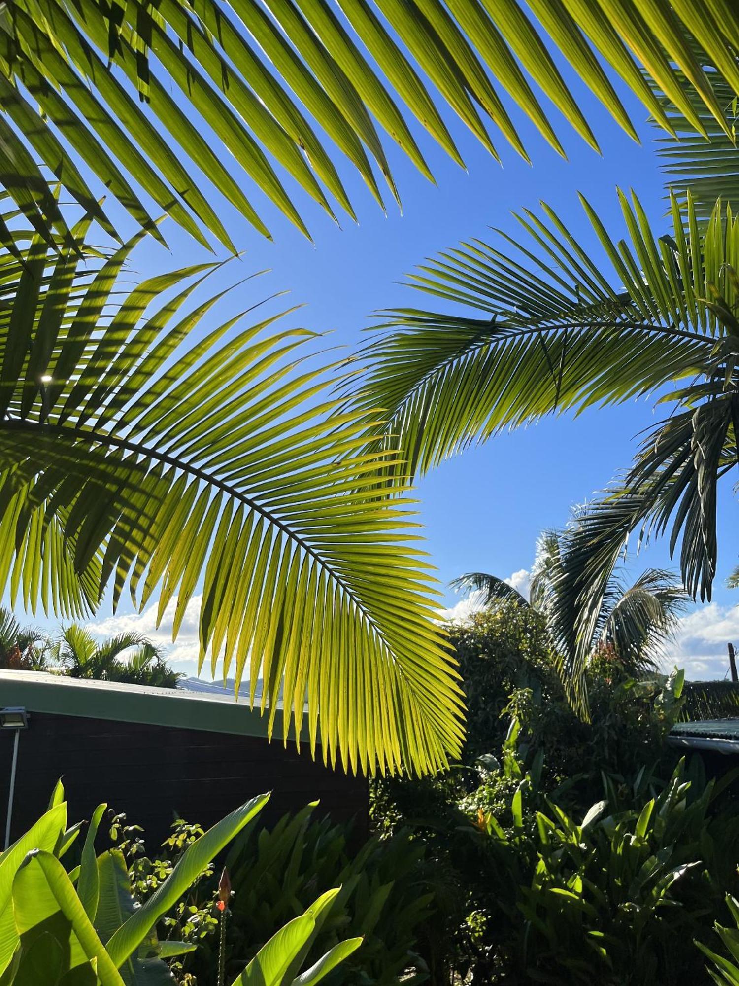 Eden Paradise Ecolodge & Spa 圣吕斯 外观 照片