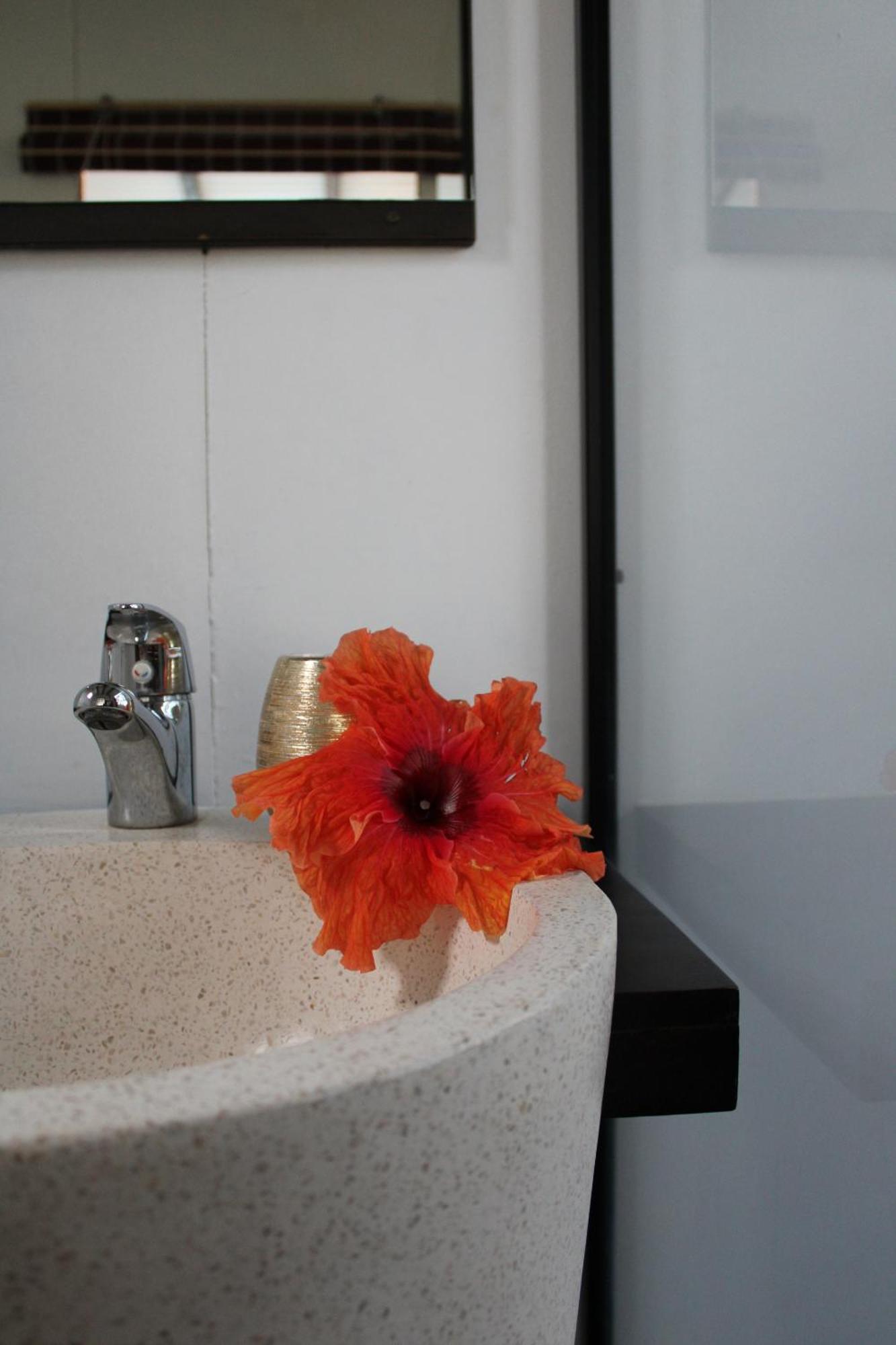 Eden Paradise Ecolodge & Spa 圣吕斯 客房 照片