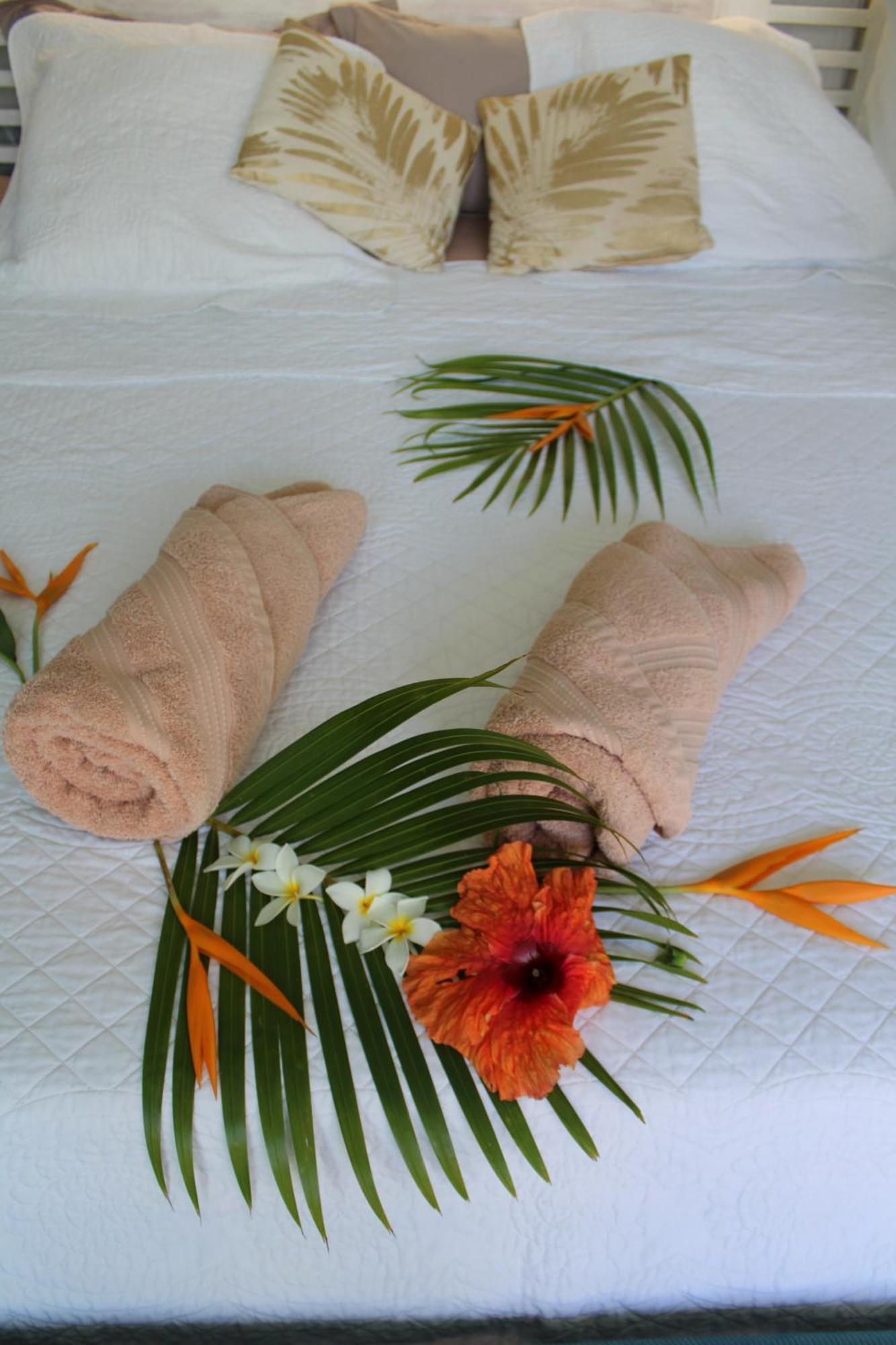 Eden Paradise Ecolodge & Spa 圣吕斯 客房 照片